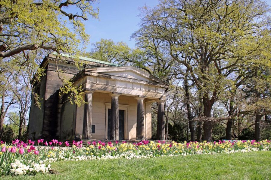Hannover: Guided tour of the Berggarten - Cacti and succulents add a sharp change of pace