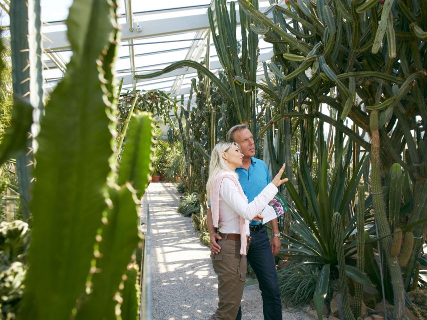 Hannover: Guided tour of the Berggarten - Why a guide improves a botanical garden visit
