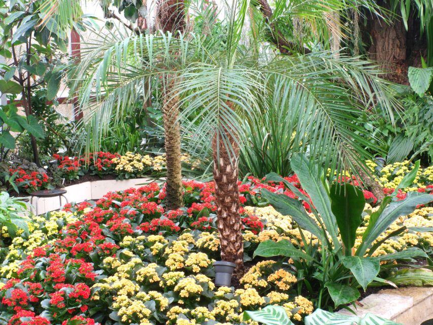 Hannover: Guided tour of the Berggarten - Who will get the most from this tour