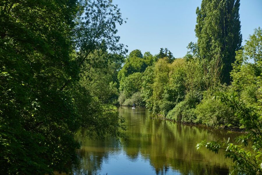 Hanover: Guided Walking Tour of the Linden-Limmer District - What the $17 price delivers