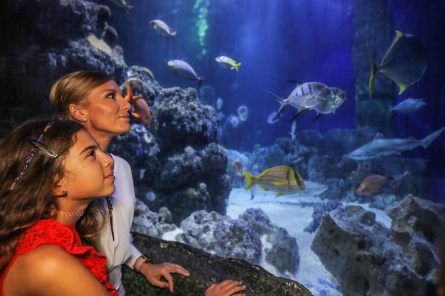 Hanover: SEA LIFE Entry Ticket - The coral reef, Oscar, and the ocean tunnel