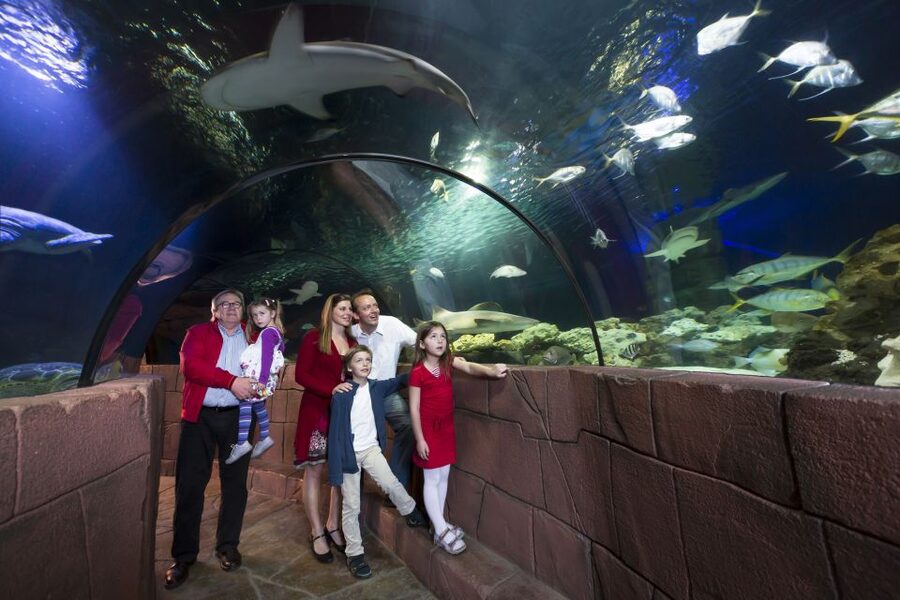 Hanover: SEA LIFE Entry Ticket - Animal Crossing in March and April