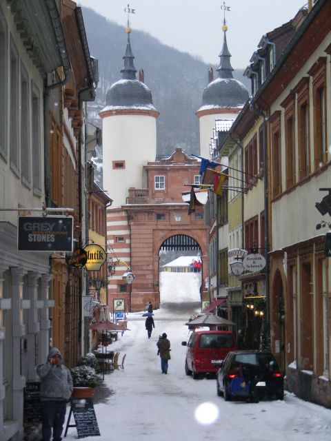 Heidelberg: 2-Hour Crime Tour with Costumed Guide - The Old Bridge and Marstall finish the route