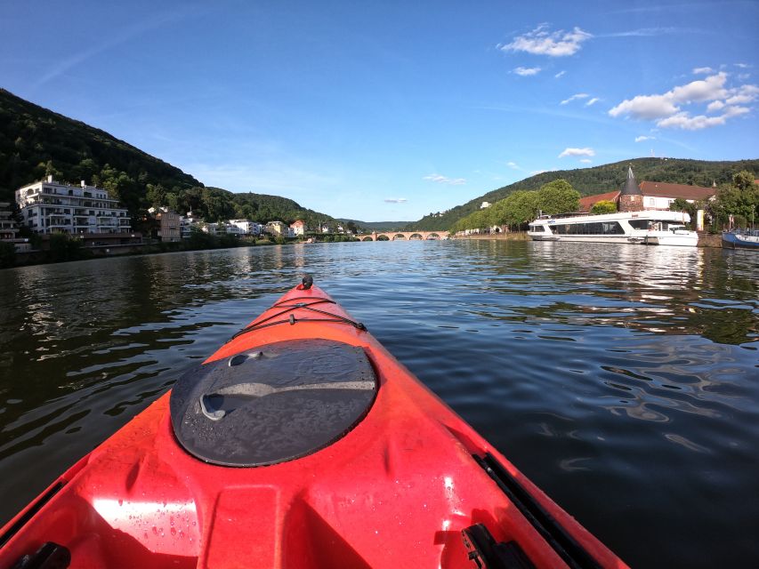 Heidelberg: 2-Hour Kayak Tour - Key points to know before paddling out
