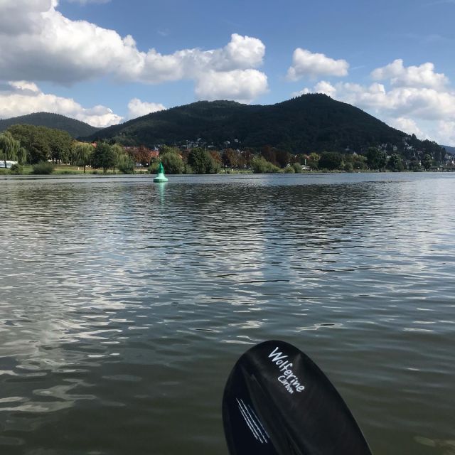 Heidelberg: 2-Hour Kayak Tour - Why Heidelberg looks better from the River Neckar