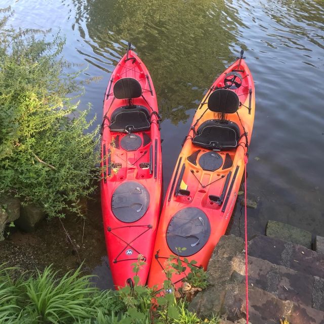 Heidelberg: 2-Hour Kayak Tour - Following the Old Bridge, castle, and old town
