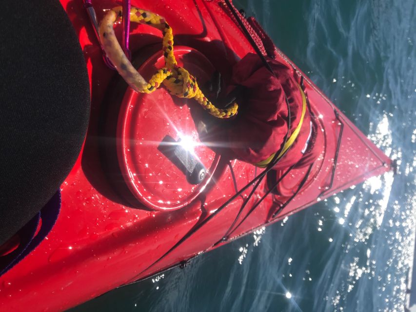 Heidelberg: 2-Hour Kayak Tour - Who will enjoy this kayak tour most?