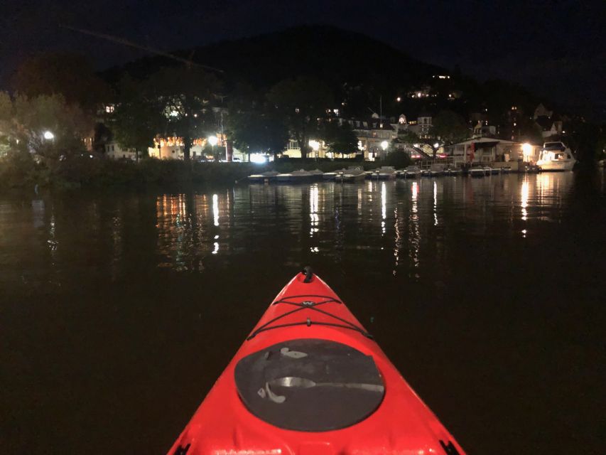 Heidelberg: 2-Hour Kayak Tour - Practical tips for a smoother outing