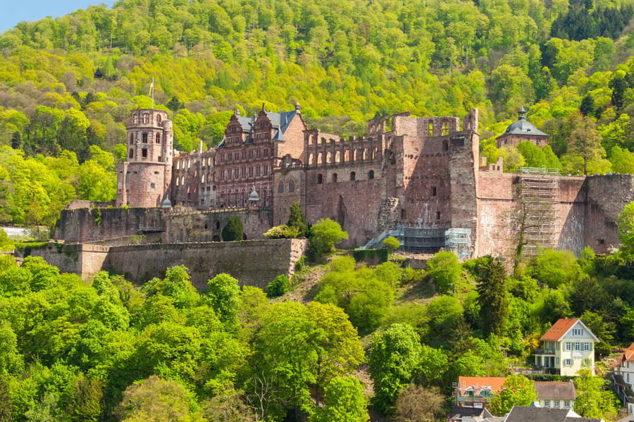 Heidelberg and Rhine Combination Tour from Frankfurt - Who should book this combination tour?