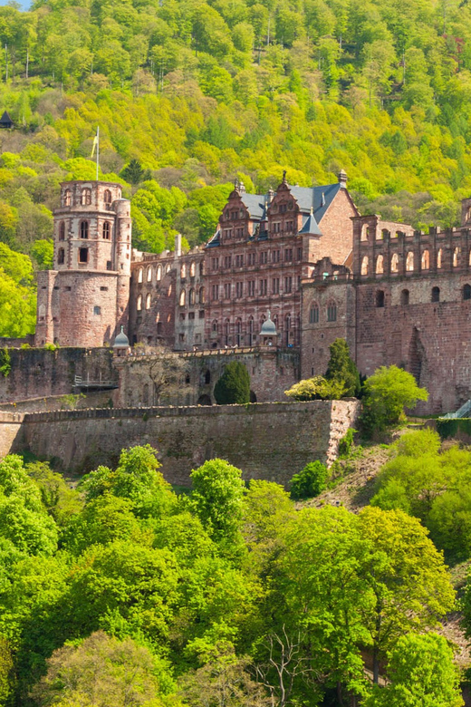Heidelberg and Rhine Combination Tour from Frankfurt - The long transfer and the shape of the day