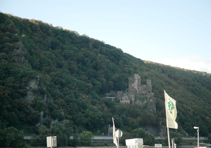 Heidelberg and Rhine Combination Tour from Frankfurt - The Rhine steamer from Kaub