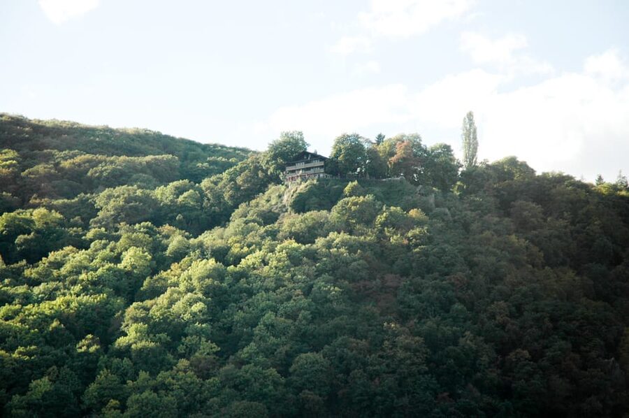 Heidelberg and Rhine Combination Tour from Frankfurt - Wine tasting and dinner beside the river