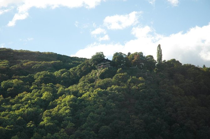 Heidelberg and Rhine Valley Day Trip With Wine Tasting and Dinner from Frankfurt - Cruising the UNESCO-listed Rhine Valley