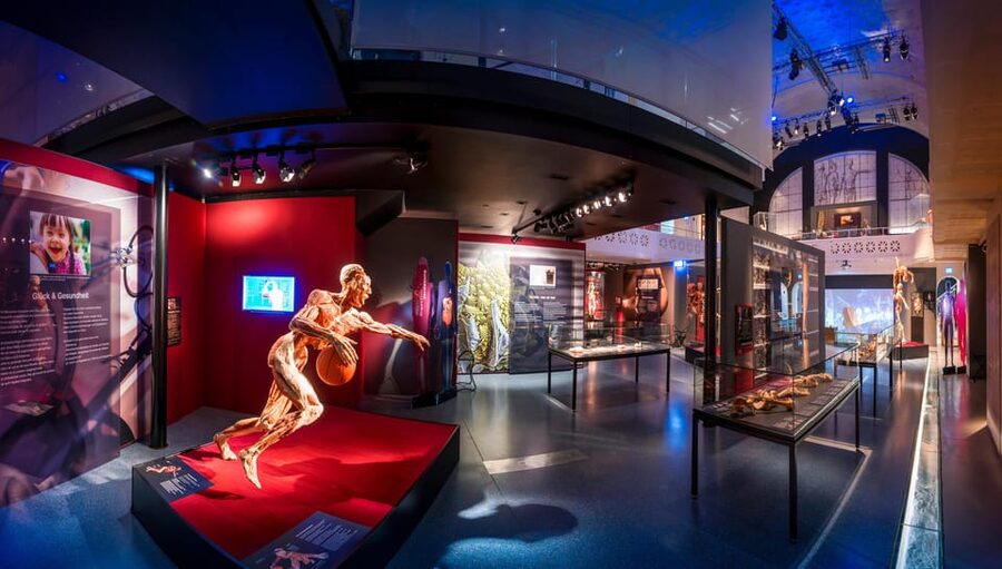 Heidelberg: BODY WORLDS Museum Entry Ticket - Using the audio guide and finding your way around