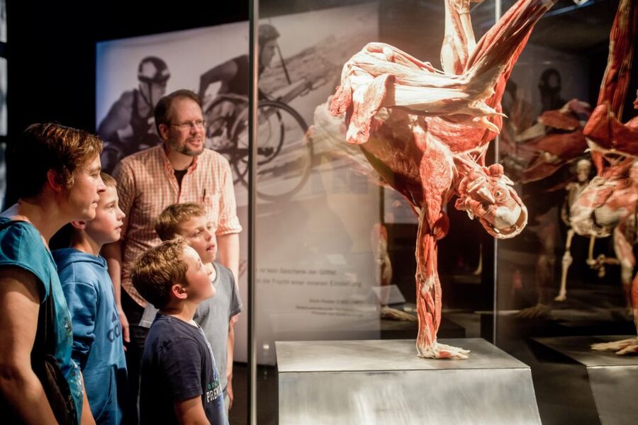 Heidelberg: BODY WORLDS Museum Entry Ticket - How much time should you allow?