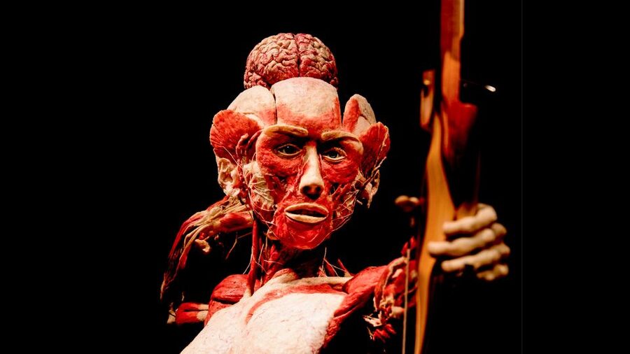 Heidelberg: BODY WORLDS Museum Entry Ticket - Practical advice for a smoother visit