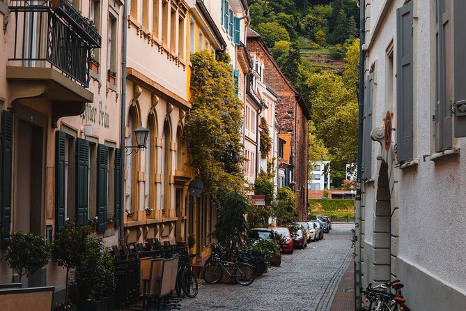 Heidelberg Castle and City Day Tour from Frankfurt - What the $151.23 price really buys