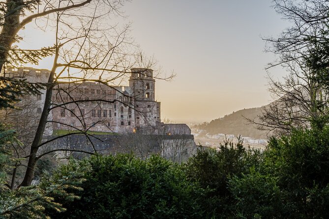 Heidelberg Castle and City Day Tour from Frankfurt - The one-hour ride from Frankfurt