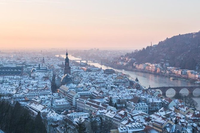 Heidelberg Castle and Old Town Tour from Frankfurt - Is $154.99 a fair price?