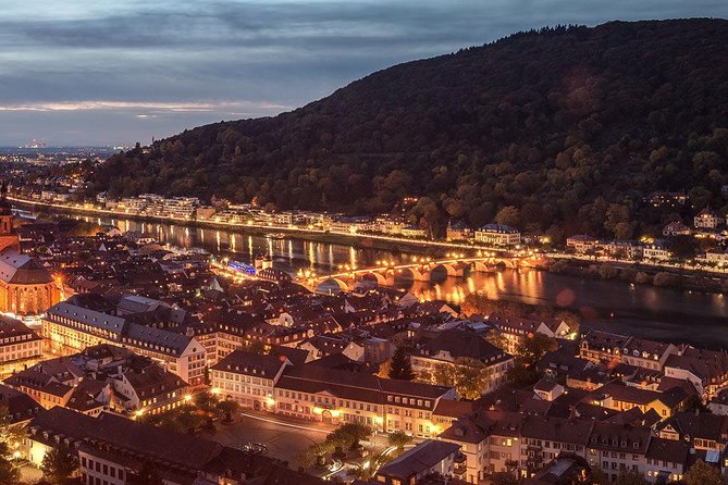 Heidelberg Castle and Old Town Tour from Frankfurt - Walking, timing, and practical comfort