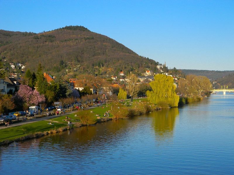 Heidelberg Castle Tour: Residence of the Electors - Why Heidelberg Castle deserves your time