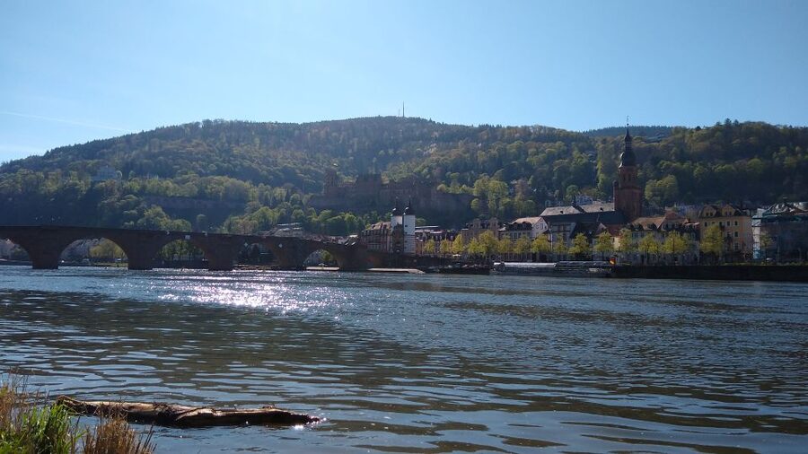 Heidelberg: Guided Bike Tour - Heidelberg: Guided Bike Tour at a Glance