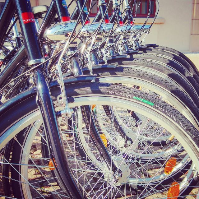 Heidelberg: Guided Bike Tour - Guides Who Make the Ride Work