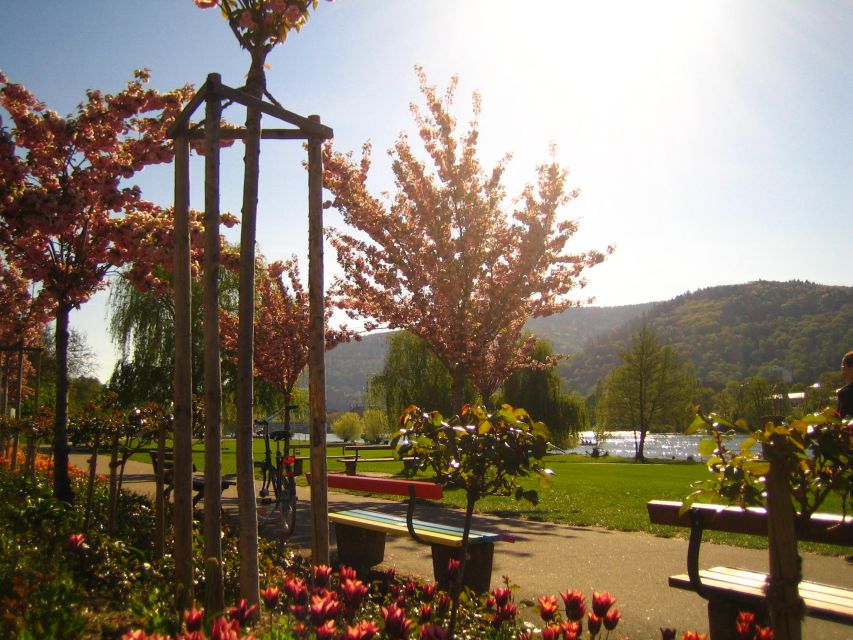 Heidelberg: Guided Bike Tour - Bikes, Pace, and Physical Effort