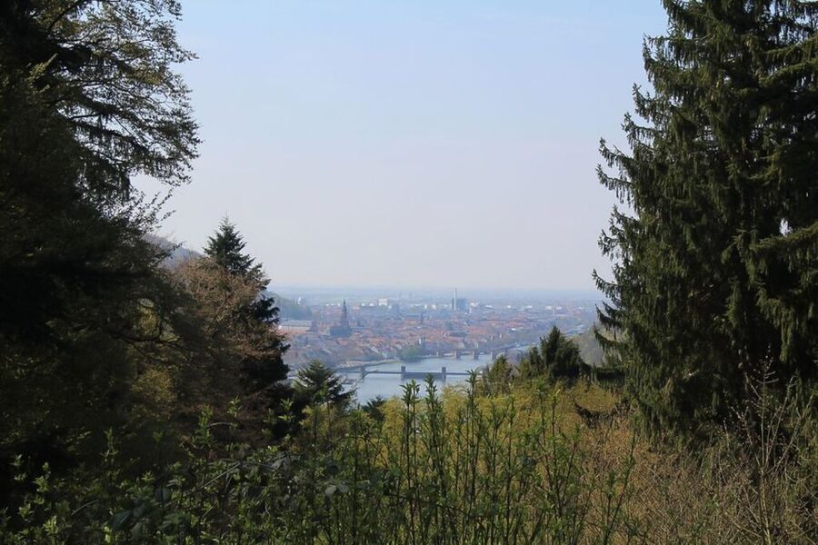 Heidelberg Highlights Segway Tour with Castle - Starting at Neckarmünzplatz and crossing the Old Bridge