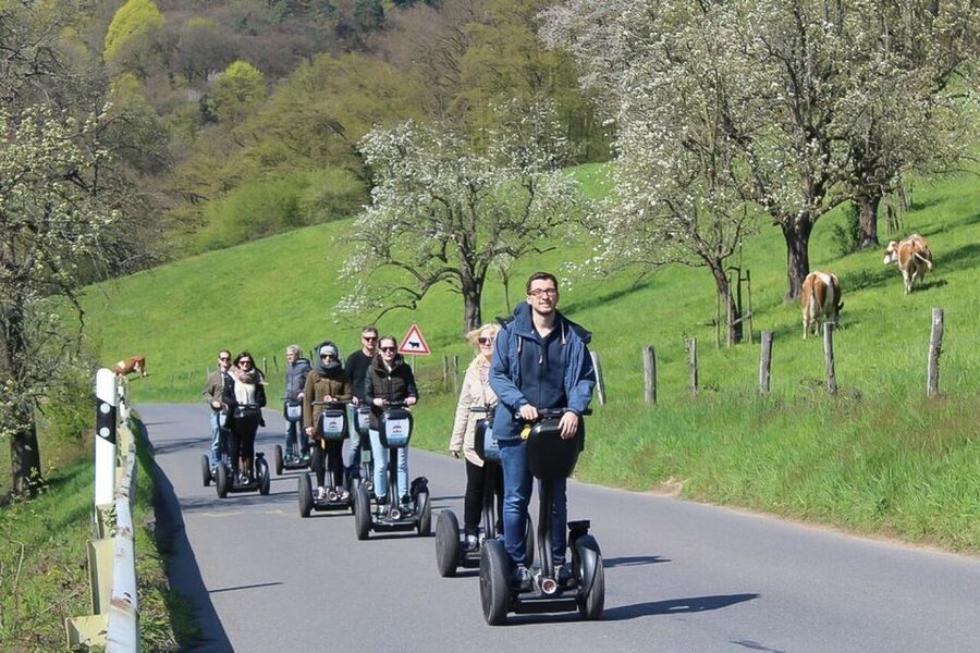 Heidelberg Highlights Segway Tour with Castle - Neuburg Abbey, a quiet first landmark