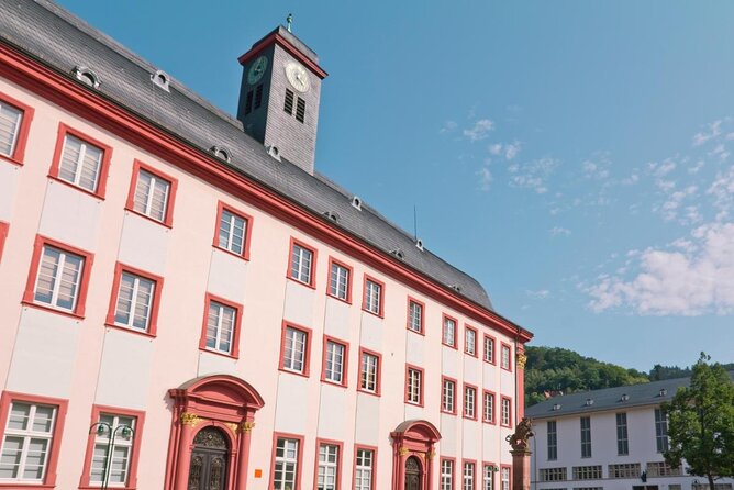 Heidelberg old Town Tour. - Key things to know before you book