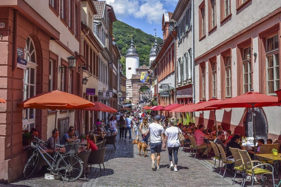 Heidelberg: Old Town Tour Including Castle Visit - Starting at the Lion Fountain and Germany’s oldest university