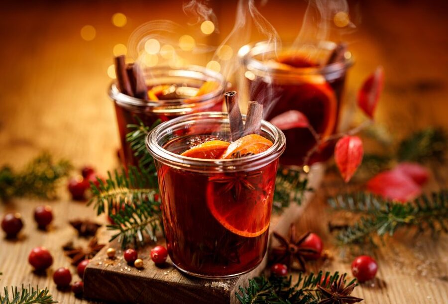 Heidelberg: Sightseeing Boat Tour with Mulled Wine - A short winter cruise with a clear purpose