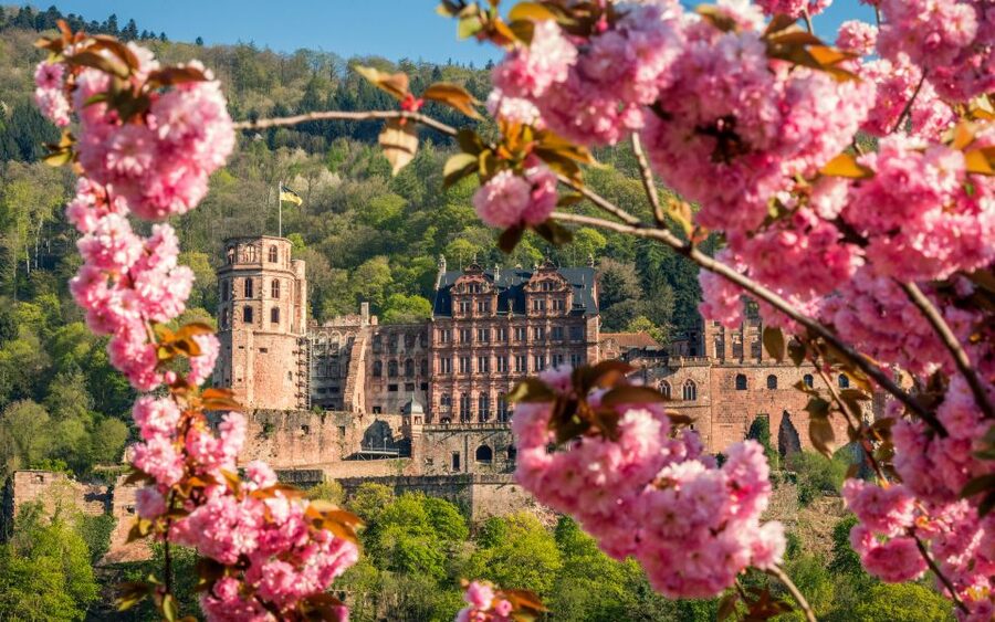 Heidelberg: Sightseeing Bus and Castle Tour - A practical start at Neckarmünzplatz