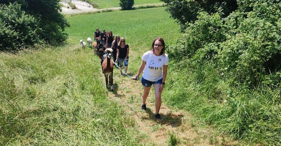 Jettingen-Scheppach: Alpaca hike through the Mindeltal - The Two-Hour Question