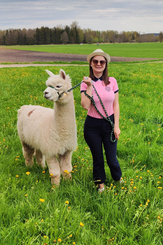 Jettingen-Scheppach: Alpaca hike through the Mindeltal - Should You Book the Mindeltal Alpaca Hike?