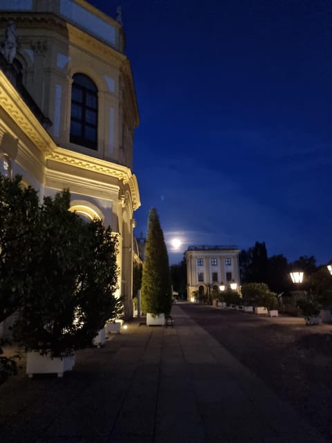 Kassel: Kassel's lost city by night - Kings, electors, prisoners, and daily life