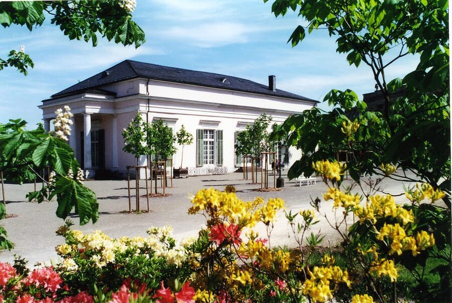 Kassel: Pure relaxation and world culture – guided tour of the Bergpark - Starting at Wilhelmshöhe Palace