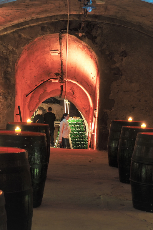Koblenz: Historical Sparkling Wine Museum Guided Tour - The Atmosphere of the Vaulted Rooms