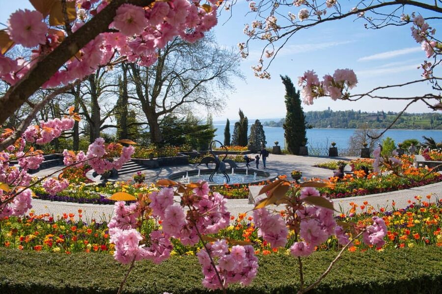 Konstanz: Mainau Island Entry Ticket - Accessibility and practical limits