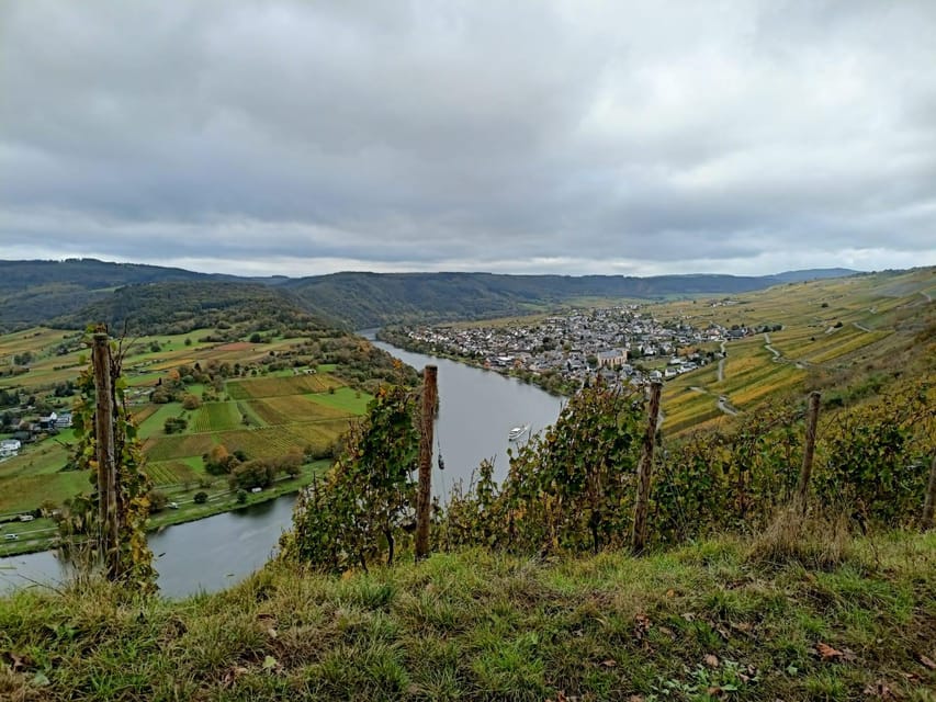 Kröv, Mosel: PLANWAGENFAHRT through the vineyards with wine tasting - Riding Into the Kröv Vineyards