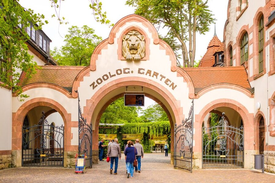 Leipzig: 1-Day Hop-On Hop-Off Bus and Leipzig Zoo Ticket - Guide quality, comfort, and small trouble spots