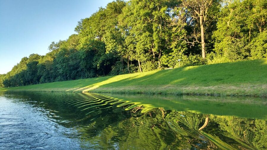Leipzig: 2-hour Auwald Motorboat Tour - Following the Elster flood bed