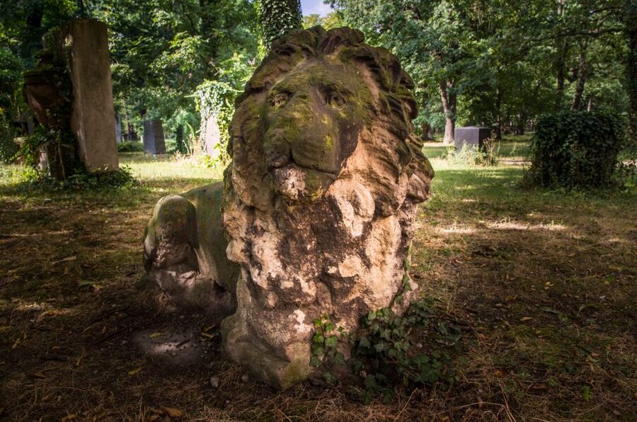 Leipzig Old Cemetery: 75-Minute Dark History Tour - Key points to know before you book