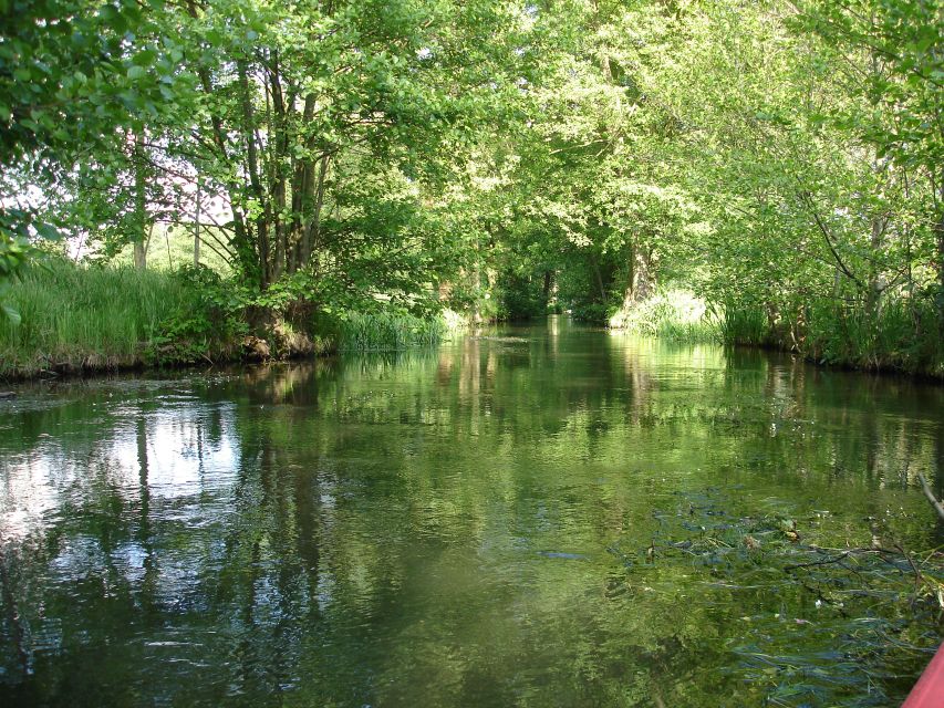 Leipzig: Riverside Forest Tour on the Pleiße - Key Points Before You Book