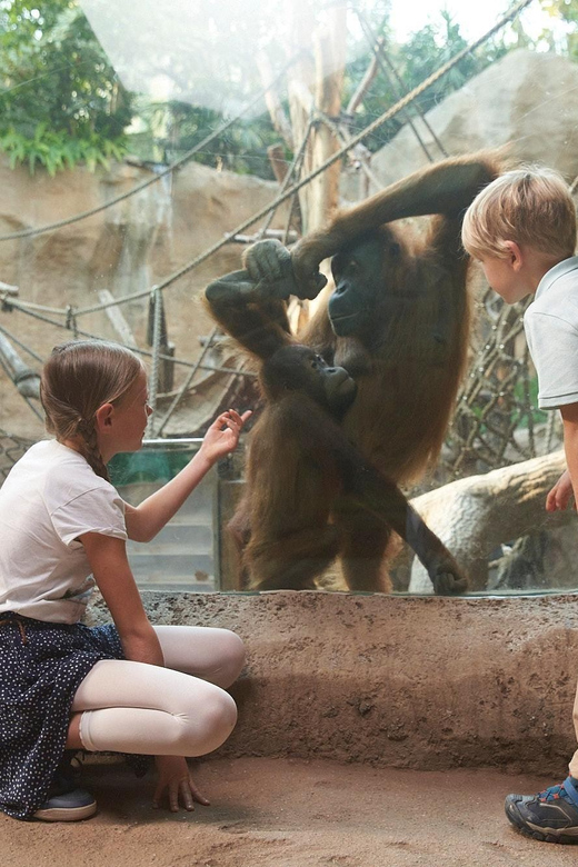 Leipzig Zoo: Entry Ticket - Key points to know before you go