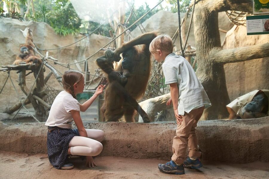Leipzig Zoo: Entry Ticket - Africa: lions, zebras, and open space