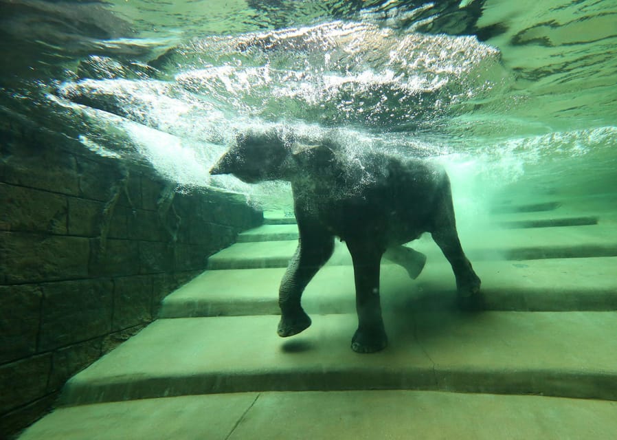 Leipzig Zoo: Entry Ticket - What the $22 ticket gets you