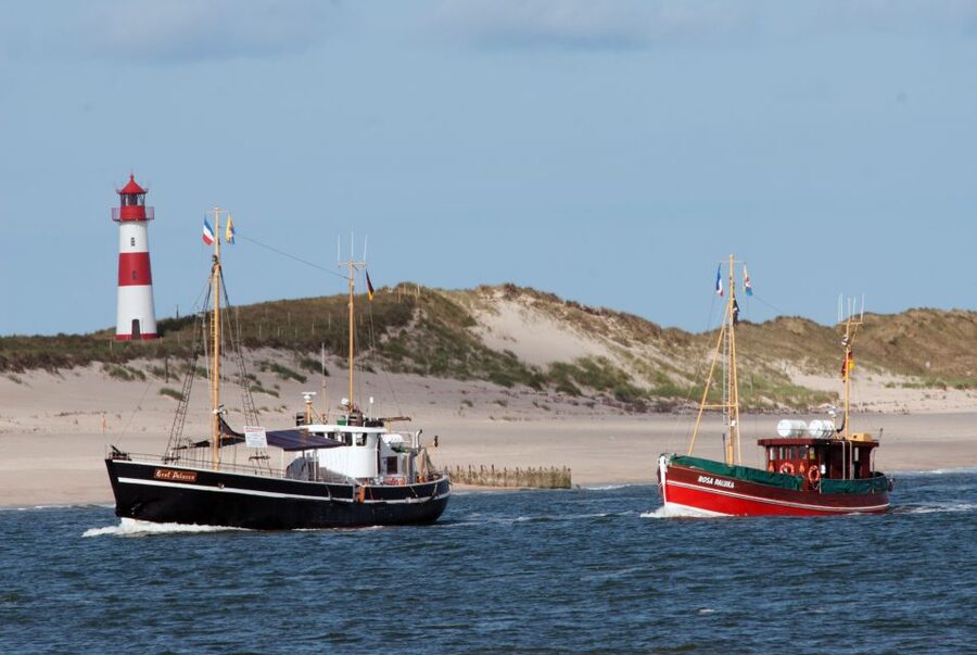 List/Sylt: Guided Seal-Watching Cruise on a Rustic Boat - Watching Seals in Their Natural Setting