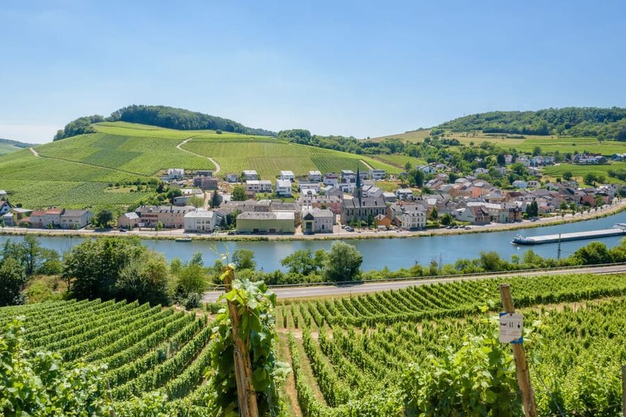 Luxembourg: Moselle Day Trip with Wine Tasting and Boat Tour - What the $136 price includes
